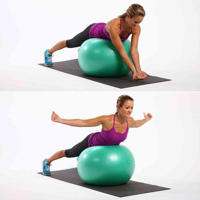 упражнения для укрепления мышц спины в домашних условиях