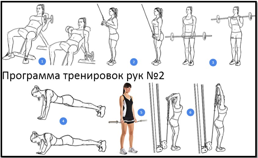 Программа тренировок рук №2 атлас упражнений