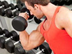 Бицепс является одной из самых популярных мышц