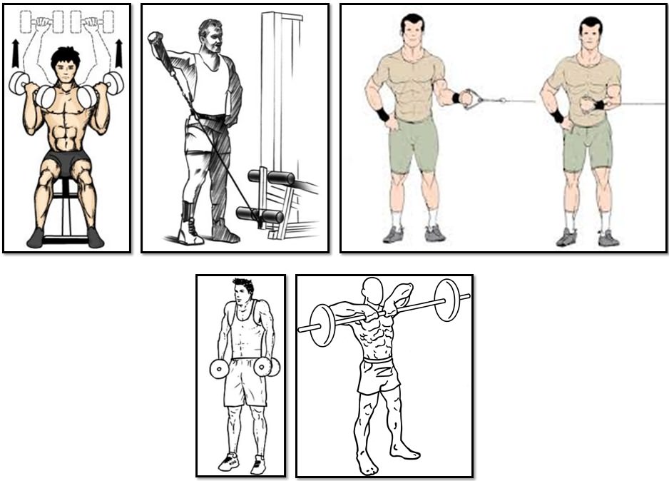 Программа тренировок для эктоморфа, упражнения плечи трапеции