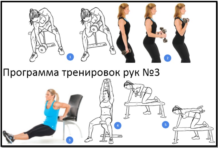 Программа тренировок рук №3 атлас упражнений