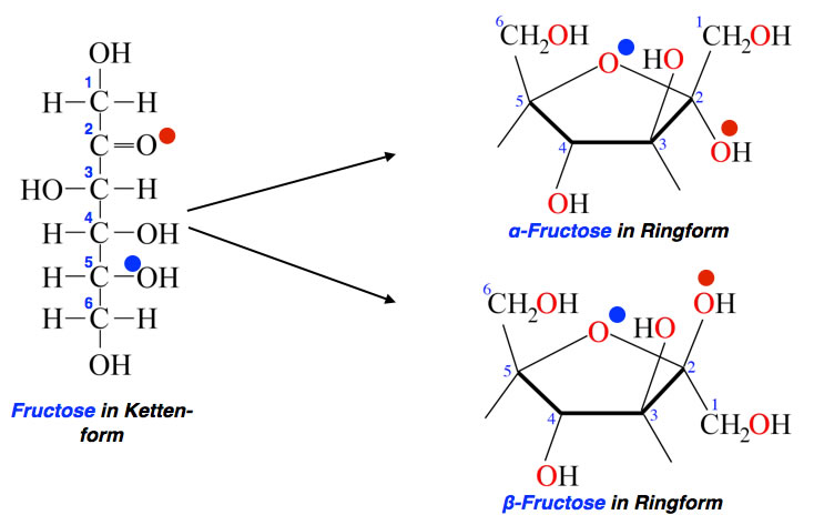 Фруктоза 8. Фруктоза ch3oh реакция. Фруктоза и nh2oh. Бета фруктоза.
