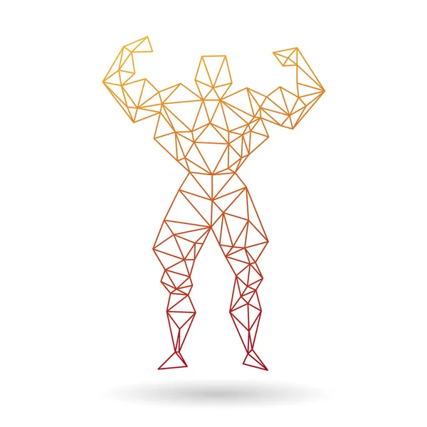 Аннотация мышцы человек, изолированные на белом фоне — стоковый вектор