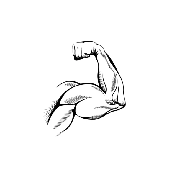 Мышцы рук — стоковый вектор